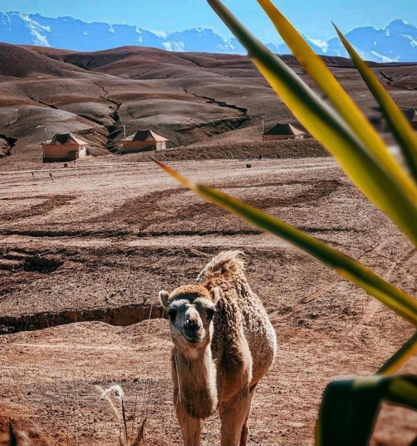 Agafay Luxury Camp Hotel Marrakesh Ngoại thất bức ảnh